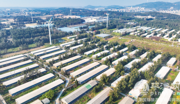 平潭全鏈條守護群眾肉籃子