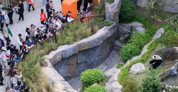 文旅“大餐”開席！邀您馬上過個“閩式福年”