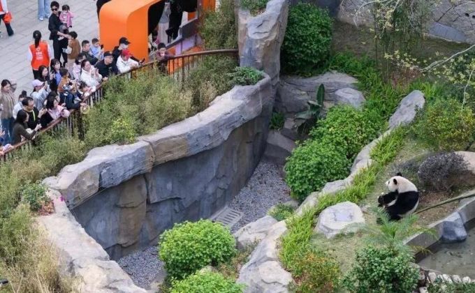 文旅“大餐”开席！邀您马上过个“闽式福年”