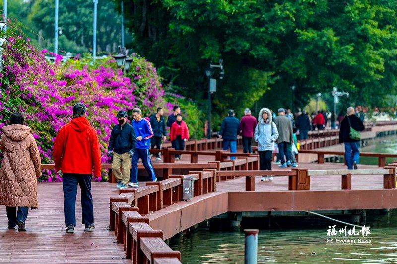 福州西湖環(huán)湖木棧道煥新 4個(gè)節(jié)段修繕基本完工 福州西湖環(huán)湖木棧道煥新 4個(gè)節(jié)段修繕基本完工