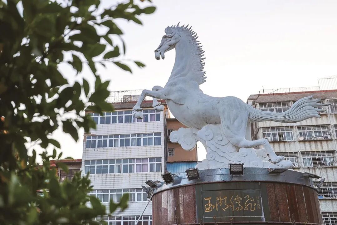 马年来石狮，开启一场寻“马”之旅