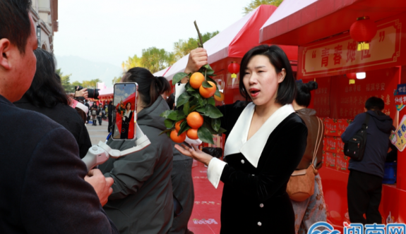 百余名新农人网红主播推销华安柑橘