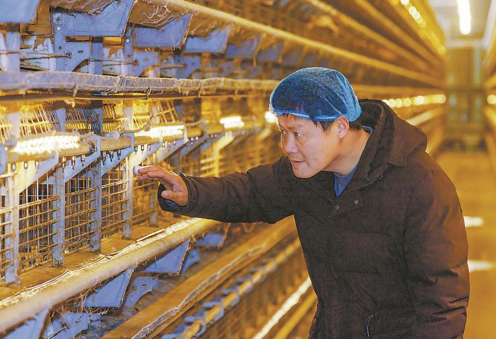 永泰蛋品畅销国内外