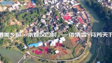 世遗泉州︱最美乡村·永春汉口村：一缕清香 芬芳天下