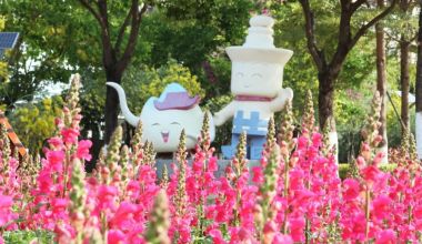 花期不等人！洛江超3000平方米梦幻花海限时“返场”盛放，等你来打卡