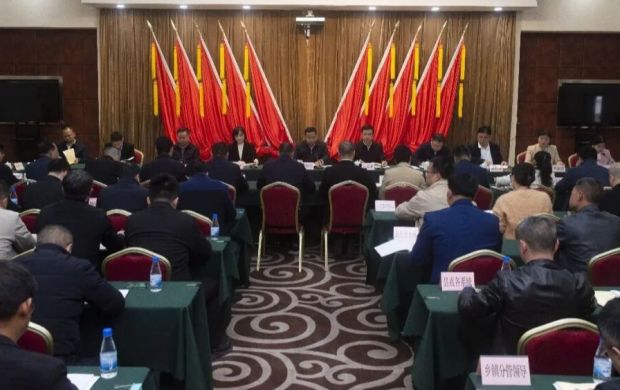 2025年度党（工）委书记抓基层党建工作述职评议会议召开