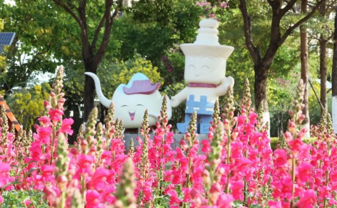 花期不等人！洛江超3000平方米梦幻花海限时“返场”盛放，等你来打卡