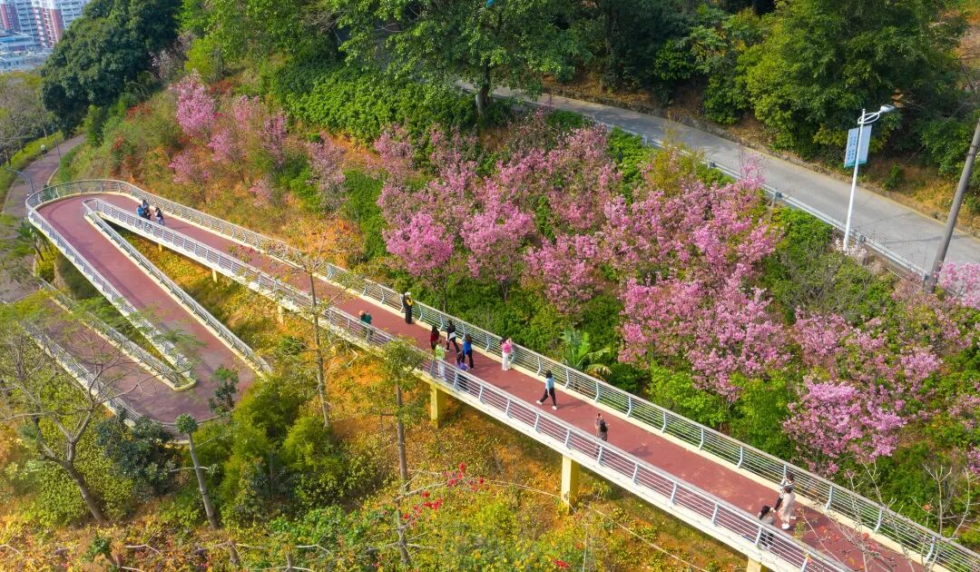 安溪这抹“绿”，藏不住了！