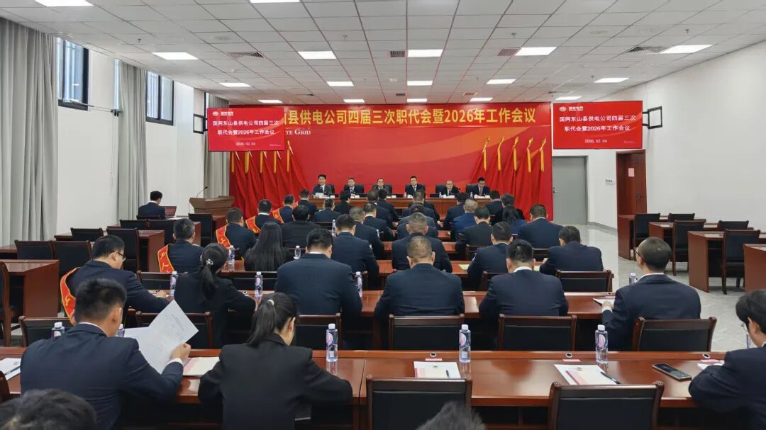 国网东山县供电公司：奋力推动公司和电网高质量发展