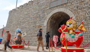 ʯʨ��Ԧ��ʨ�������������ߣ�