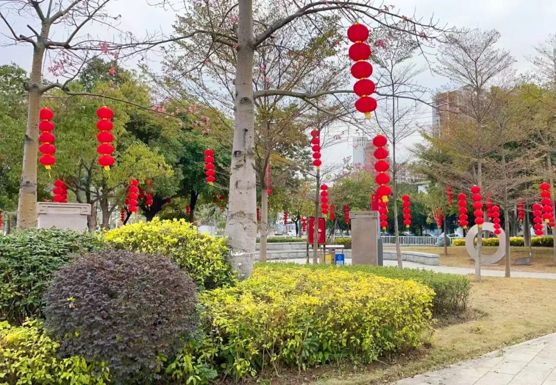 双阳-法治文化广场灯笼.png