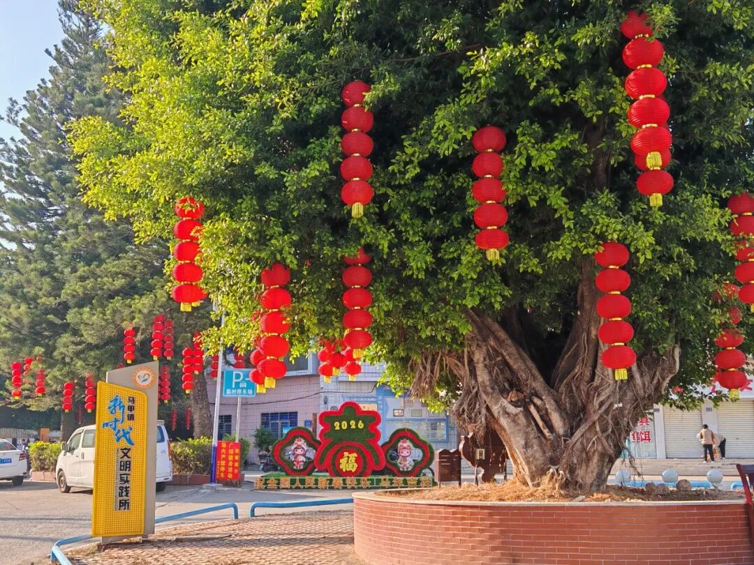 马甲-文化站周边绿化树红灯笼.jpg