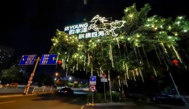 丰泽：华灯上，夜未央｜街巷皆是新春味