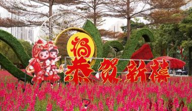 新春走基层 │ 洛江区“福马当先 福启新程”主题春节景观全面亮相 城乡年味浓情迎新春