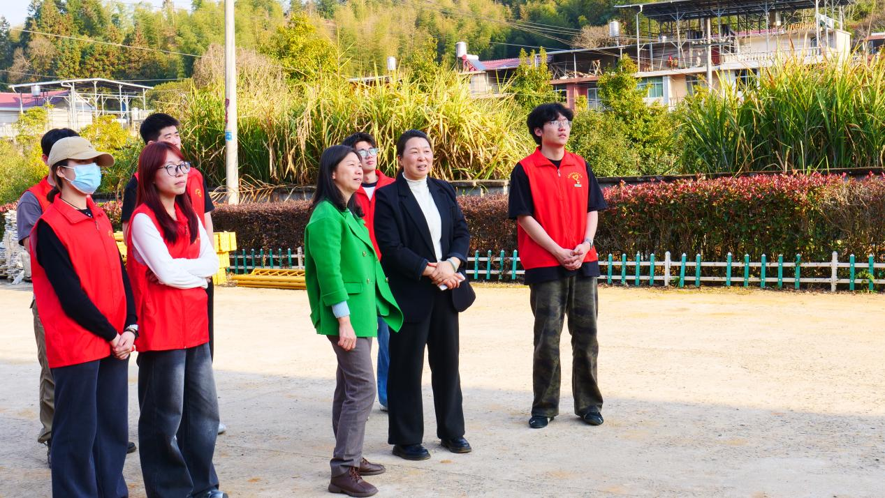 党旗插在竹林间：驻村第一书记以“科技+青春”激活乡村资源