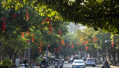 永春：街头巷尾扮新妆 喜庆年味润人心