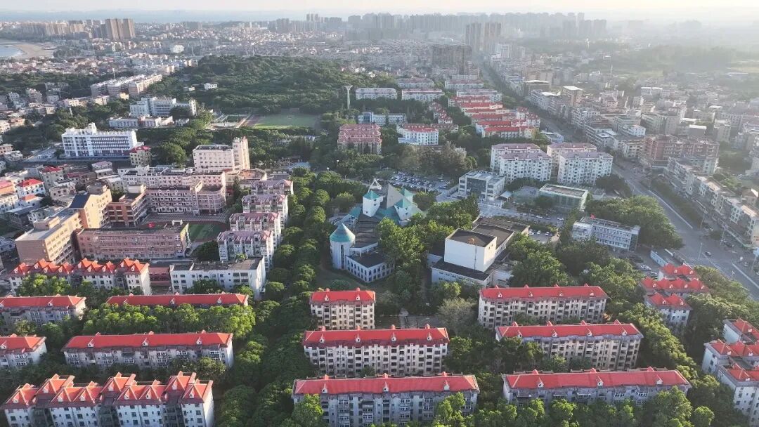 泉州泉港：聚力山海办实事 绘就民生幸福图