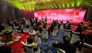 奋斗龙文，策马新程｜龙文区委区政府举行二〇二六年新春团拜会