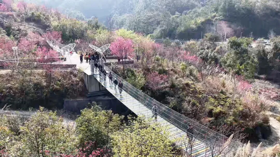 新春走基层 │ 2026年罗溪镇“溪游记•‘溪’迎骏马”新春民俗文化嘉年华活动举办