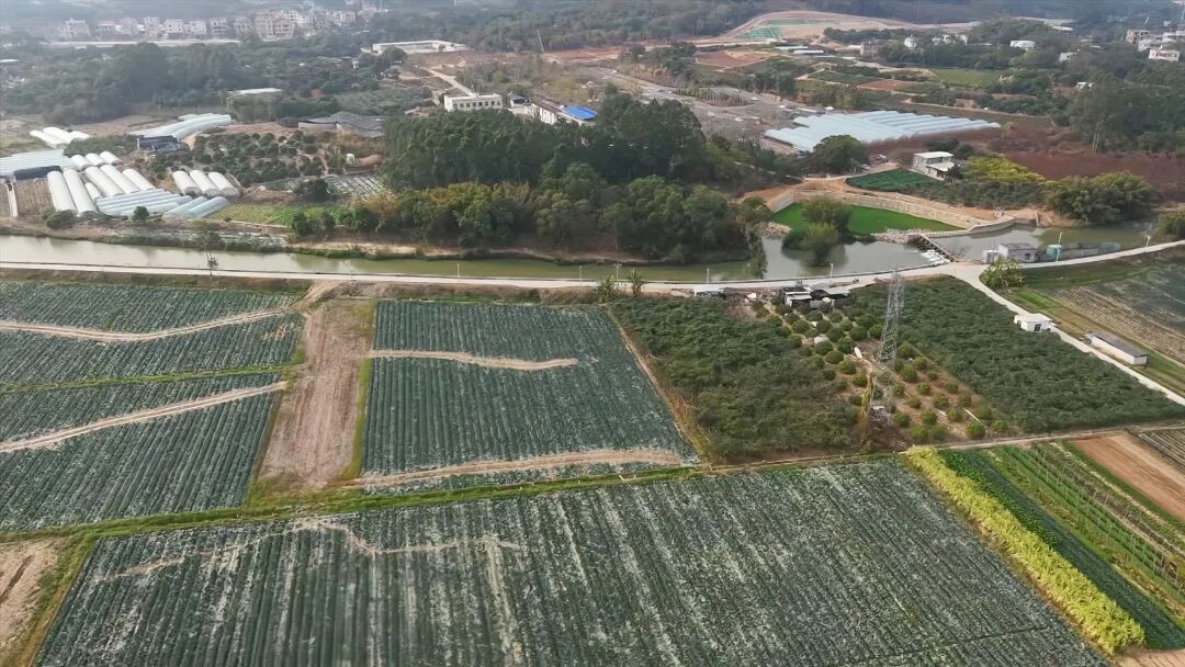 260127&ldquo;三马&rdquo;并驱 奋蹄乡村振兴新征程.mpg_20260213_153106365.jpg
