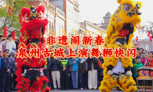 非遺鬧新春 泉州古城上演舞獅快閃