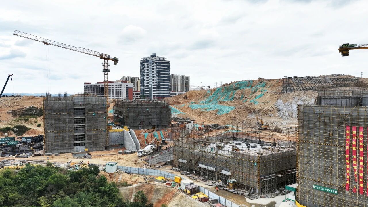 春节“不打烊”！他们在福建实干争先