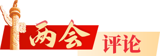 兩會評論