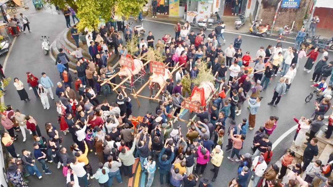 民俗“圈粉”，山水“迎客”！长泰马年春节文旅市场“马力全开”