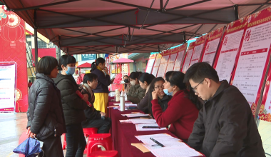 首场招聘会火热开启 80余家企业携2200余岗位“揽才”