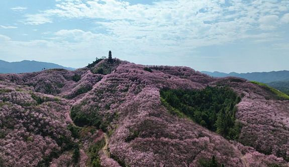 ����������ӣ��ɽ��ӭ����