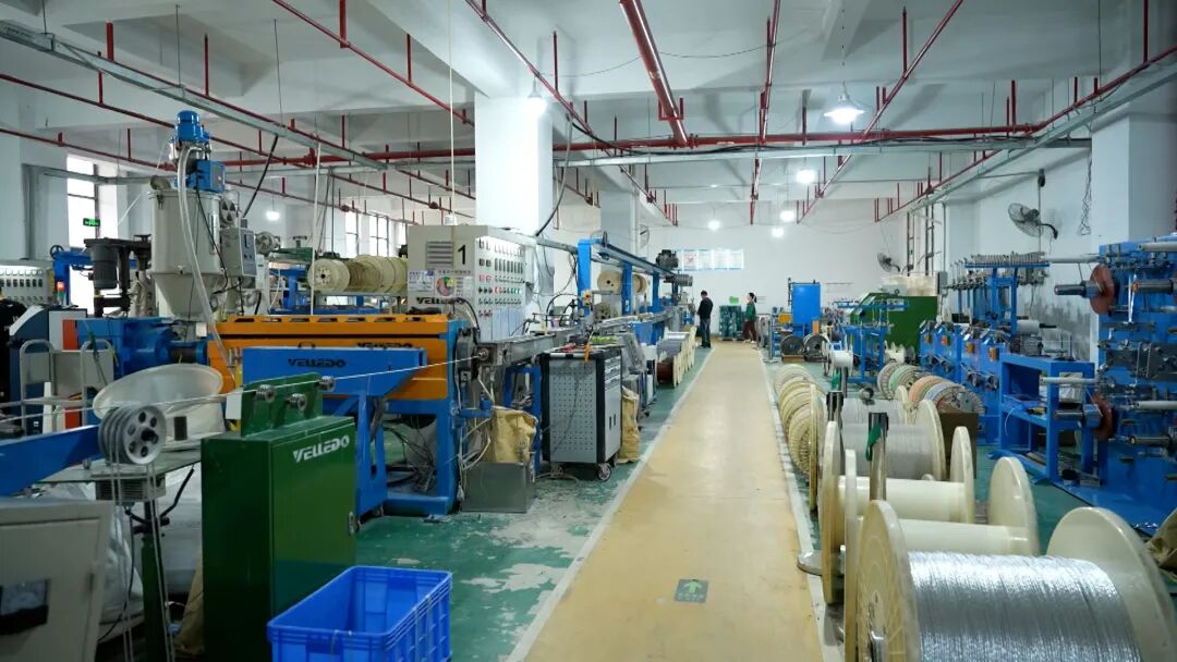 深入开展“三争”行动丨云霄：干劲“满格” 企业马力全开奋战“开门红”