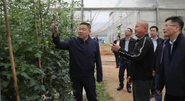 南靖县领导深入龙山镇调研春季农业生产工作