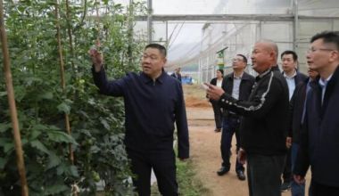 南靖县领导深入龙山镇调研春季农业生产工作