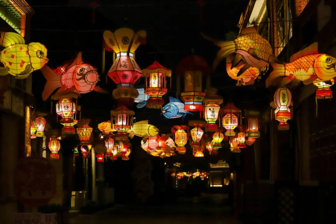 万家灯火绘丰泽 | 等你赴约 漫步灯海 遇见别样元宵