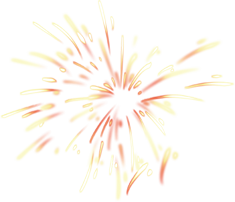 黄A无码片内射无码视频