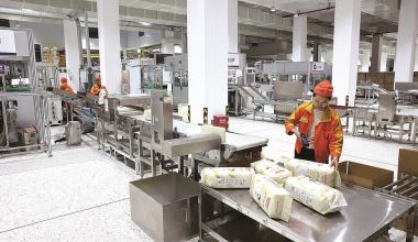 人勤春早启新程 实干奋进开门红