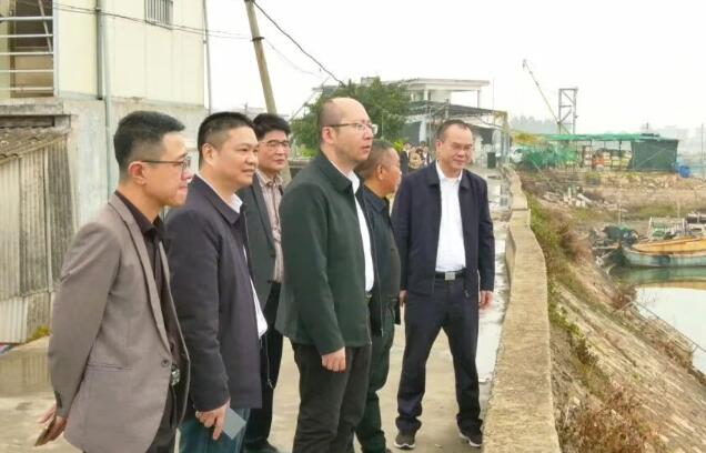 诏安县主要领导调研诏安湾西岸海洋生态修复及码头建设工作