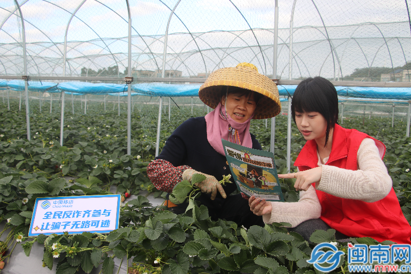 漳州移动携手公安机关斩断“短信催债”诈骗链条