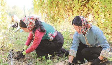 惠安：上线秒光，西头村来了台湾“明星”
