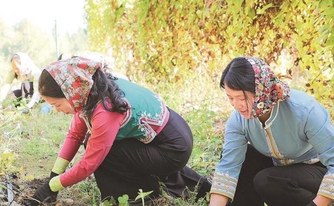 惠安：上线秒光，西头村来了台湾“明星”