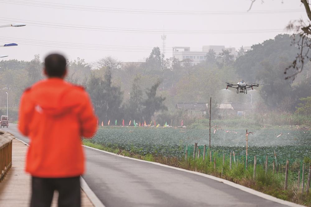 石狮：科技助农 植保机显身手