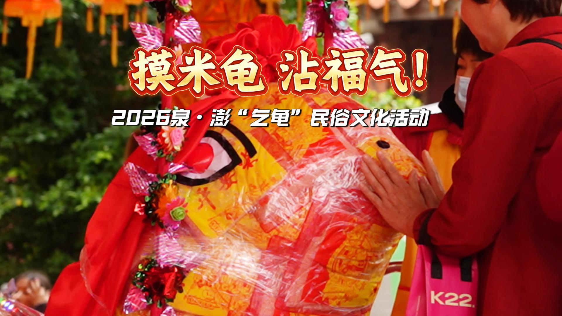 摸米龟 沾福气！