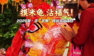 摸米龟 沾福气！