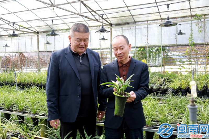 激活两岸兰花经济新活力 南靖签约台湾协会携手拓展市场