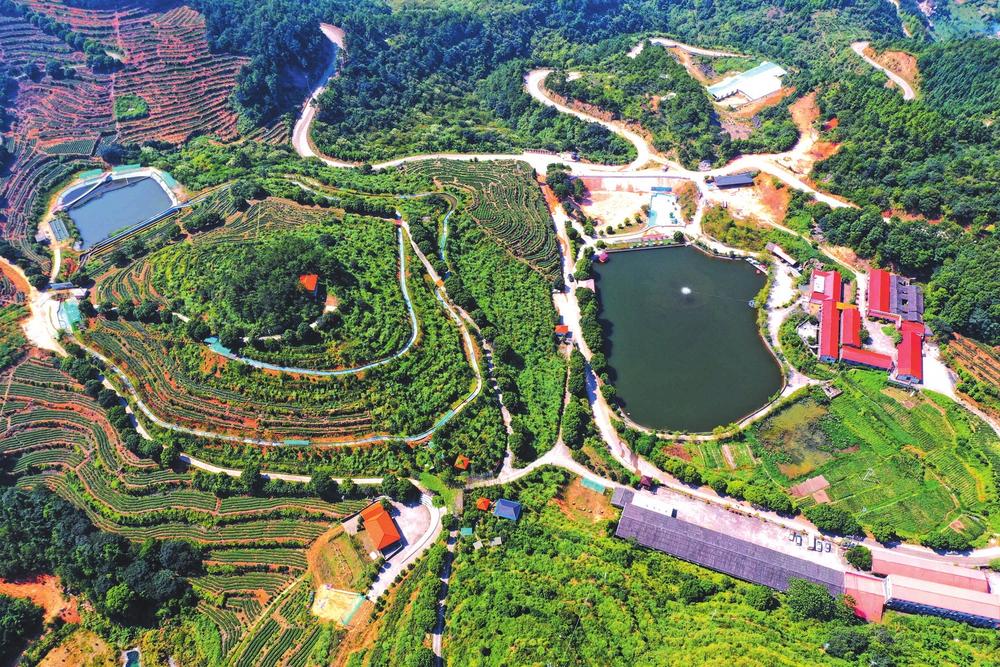 49c53895-64bb-4650-93ac-99930d1ea1e2.jpg (1)