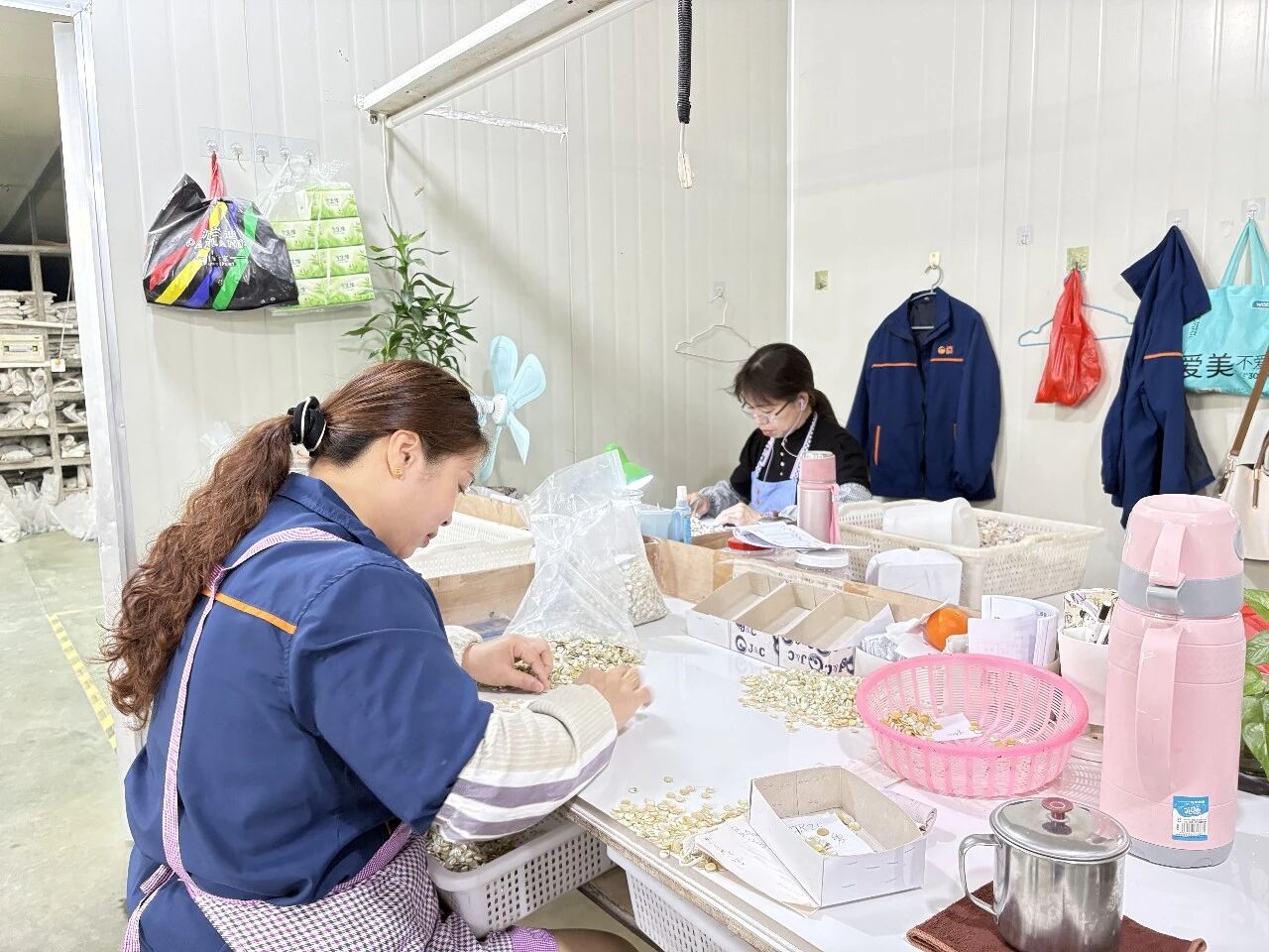 华安：企业复工干劲足 赶单忙产拓市场