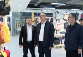 �ݰ����˴�ί����Ҫ�쵼��չ���л