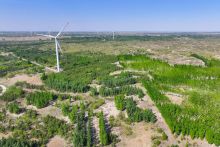 中國攜手世界共繪可持續(xù)發(fā)展新藍圖