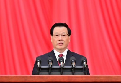 應(yīng)勇作最高人民檢察院工作報告