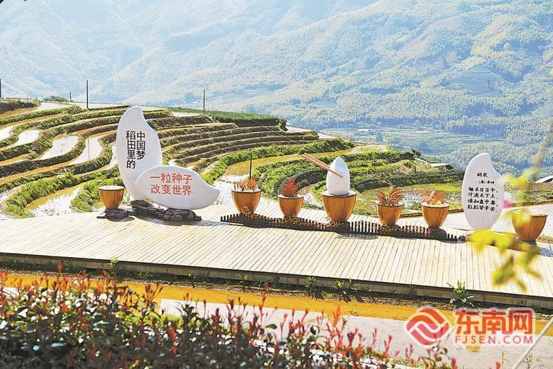 政和县念山云上梯田景区春光如画